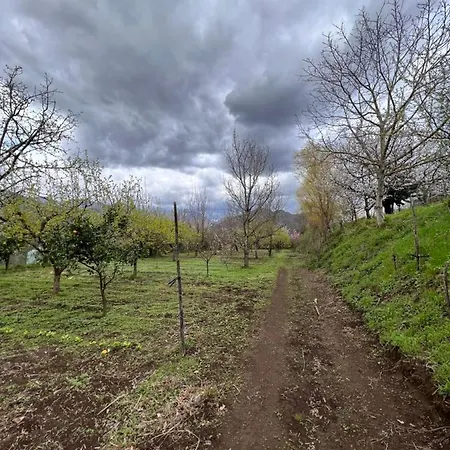 Azienda Agricola Zootecnica Soriente Di Guglielmo Areh Soriente & C.s.a.s